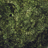 Mats by Mars: Creeping Mold Tabletop Wargaming Play Mat