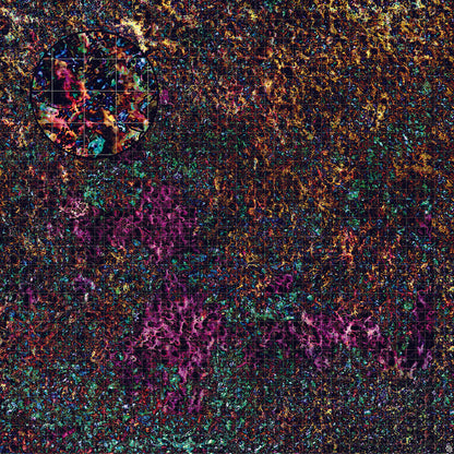 Mats by Mars: Mushroom Forest Tabletop Wargaming Play Mat