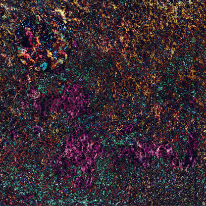 Mats by Mars: Mushroom Forest Tabletop Wargaming Play Mat