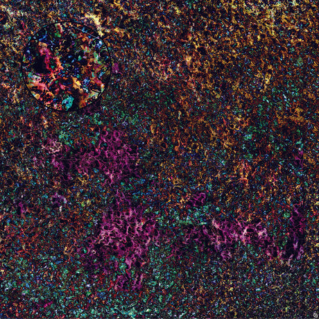 Mats by Mars: Mushroom Forest Tabletop Wargaming Play Mat