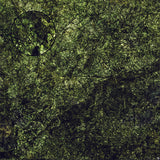 Mats by Mars: Creeping Mold Tabletop Wargaming Play Mat