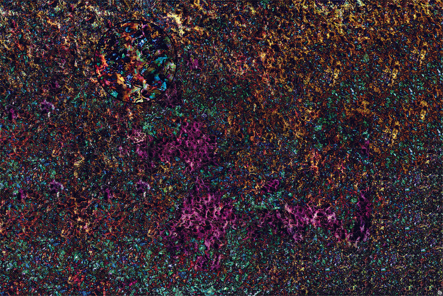 Mats by Mars: Mushroom Forest Tabletop Wargaming Play Mat
