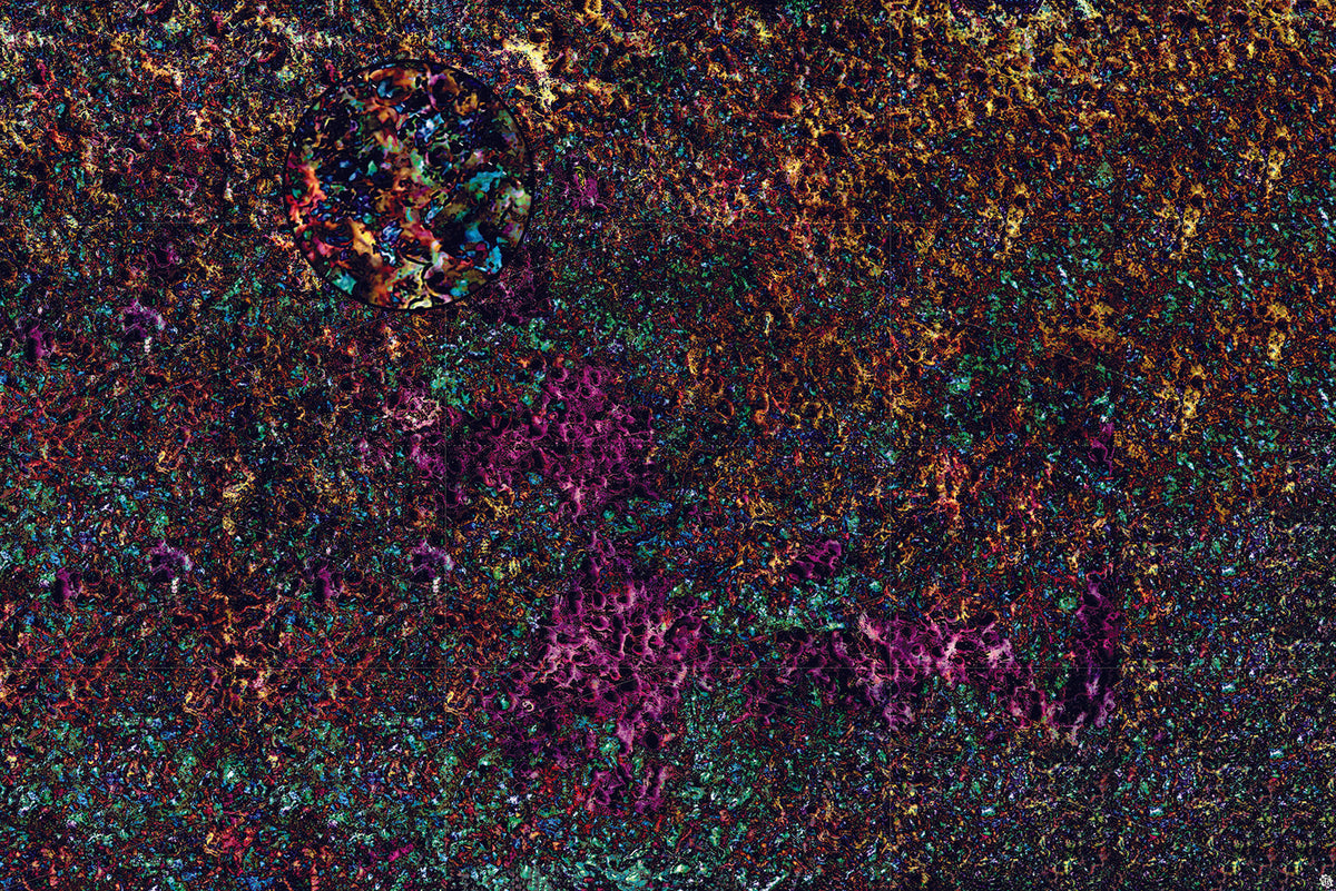 Mats by Mars: Mushroom Forest Tabletop Wargaming Play Mat