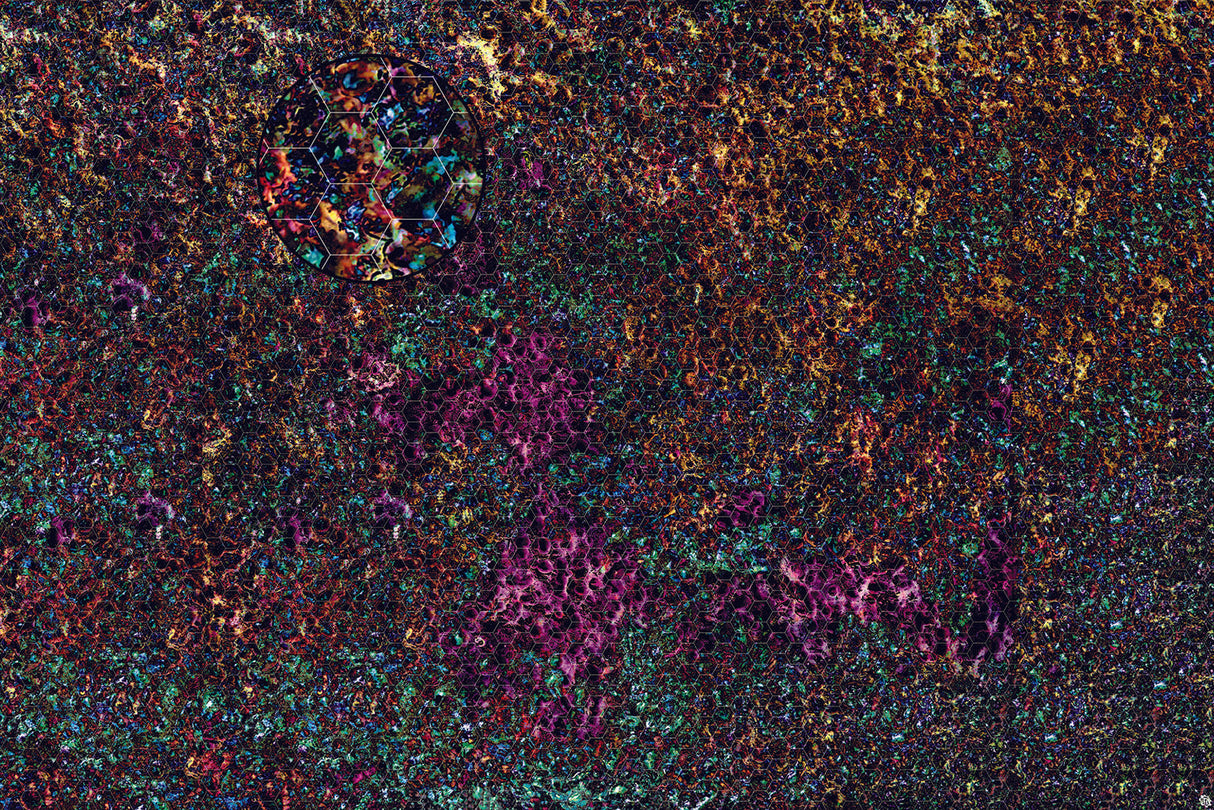 Mats by Mars: Mushroom Forest Tabletop Wargaming Play Mat