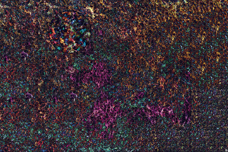 Mats by Mars: Mushroom Forest Tabletop Wargaming Play Mat