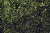 Mats by Mars: Creeping Mold Tabletop Wargaming Play Mat