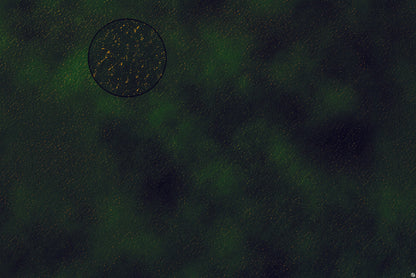 Mats by Mars: Carnivale Canals Tabletop Wargaming Play Mat