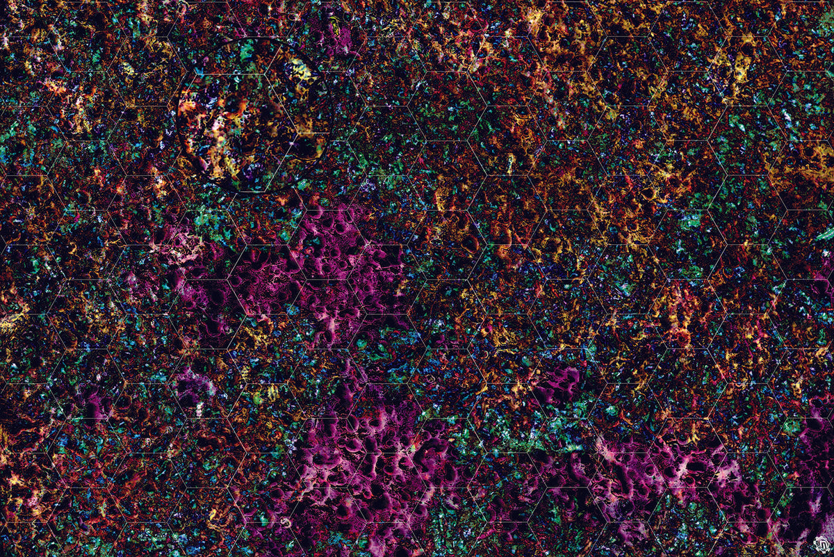 Mats by Mars: Mushroom Forest Tabletop Wargaming Play Mat