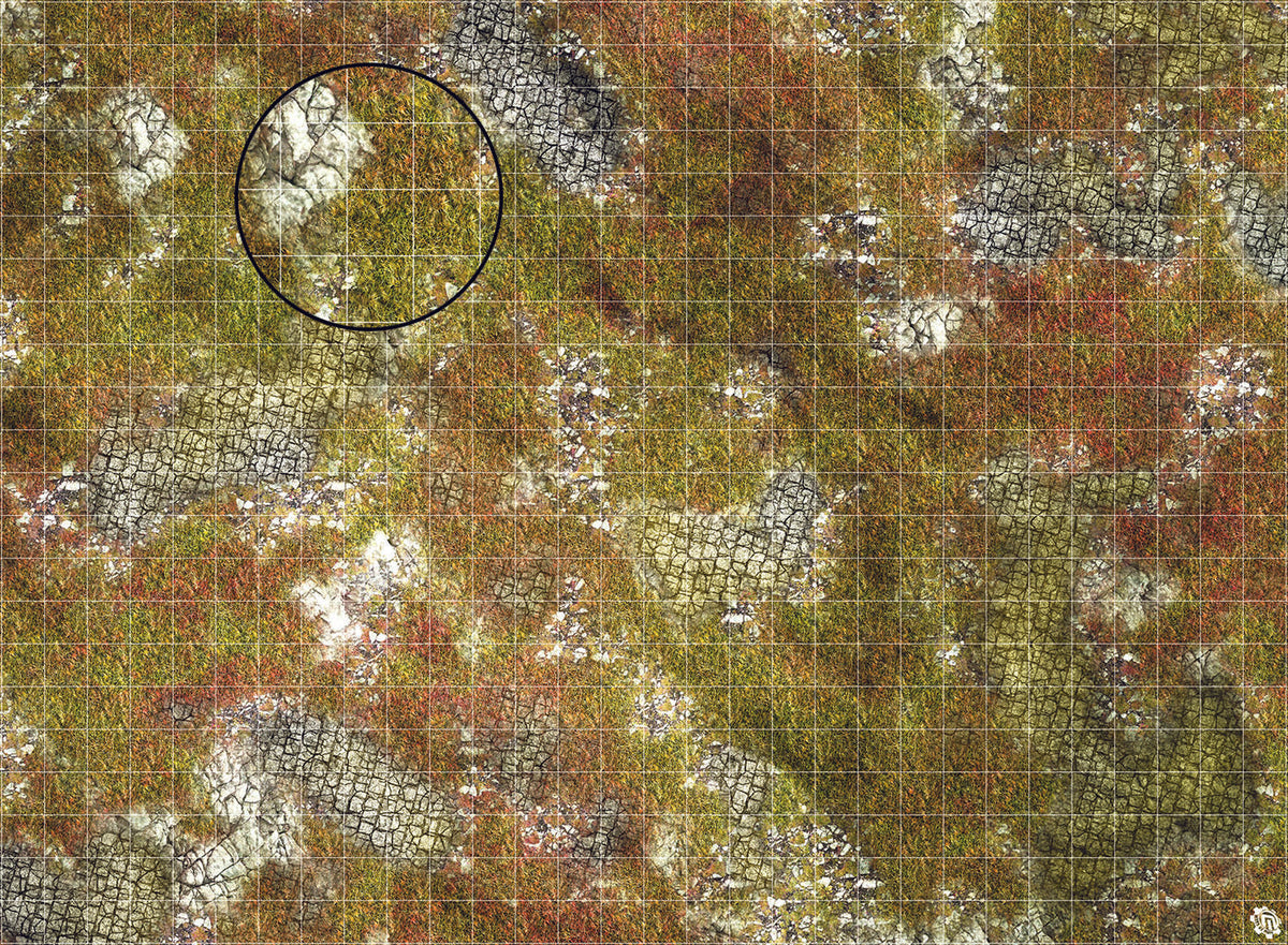 Mats by Mars: Abandoned City Tabletop Wargaming Play Mat