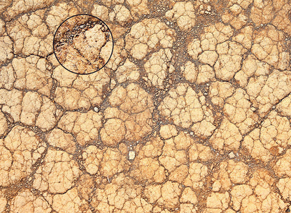 Mats by Mars: Desert Tabletop Wargaming Play Mat