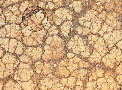 Mats by Mars: Desert Tabletop Wargaming Play Mat