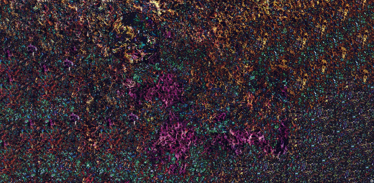 Mats by Mars: Mushroom Forest Tabletop Wargaming Play Mat