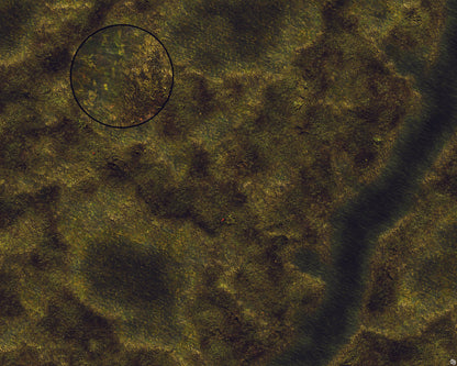 Mats by Mars: Swamplands Tabletop Wargaming Play Mat