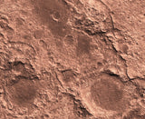 Barren Lands - Neoprene Battle Mat with Bag