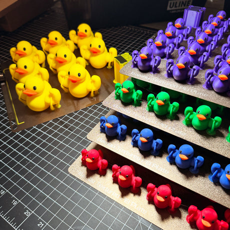 Rainbow Mini Swole Duck Quack Pack