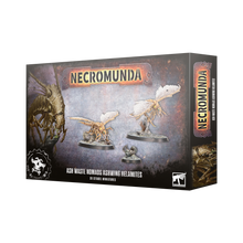 Nomads Ashwing Helamites