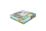 Horizons of Spirit Island Compatible Game Organizer