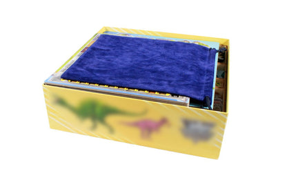 Dinosaur World Compatible Game Organizer