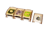 Catan: Cities and Knights/Explorers and Pirates Compatible Expansion Organizer