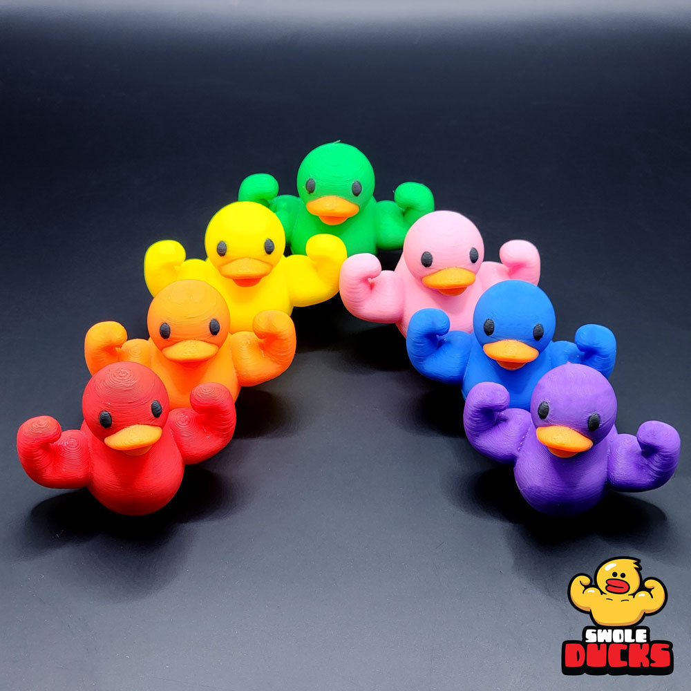 Rainbow Mini Swole Duck Quack Pack