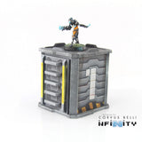 Shipping Container Ladder