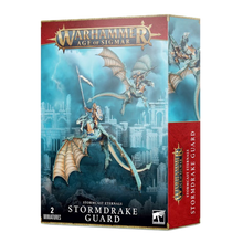 Stormdrake Guard