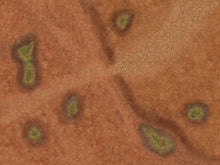 Toxic Cesspool - Neoprene Battle Mat with Bag