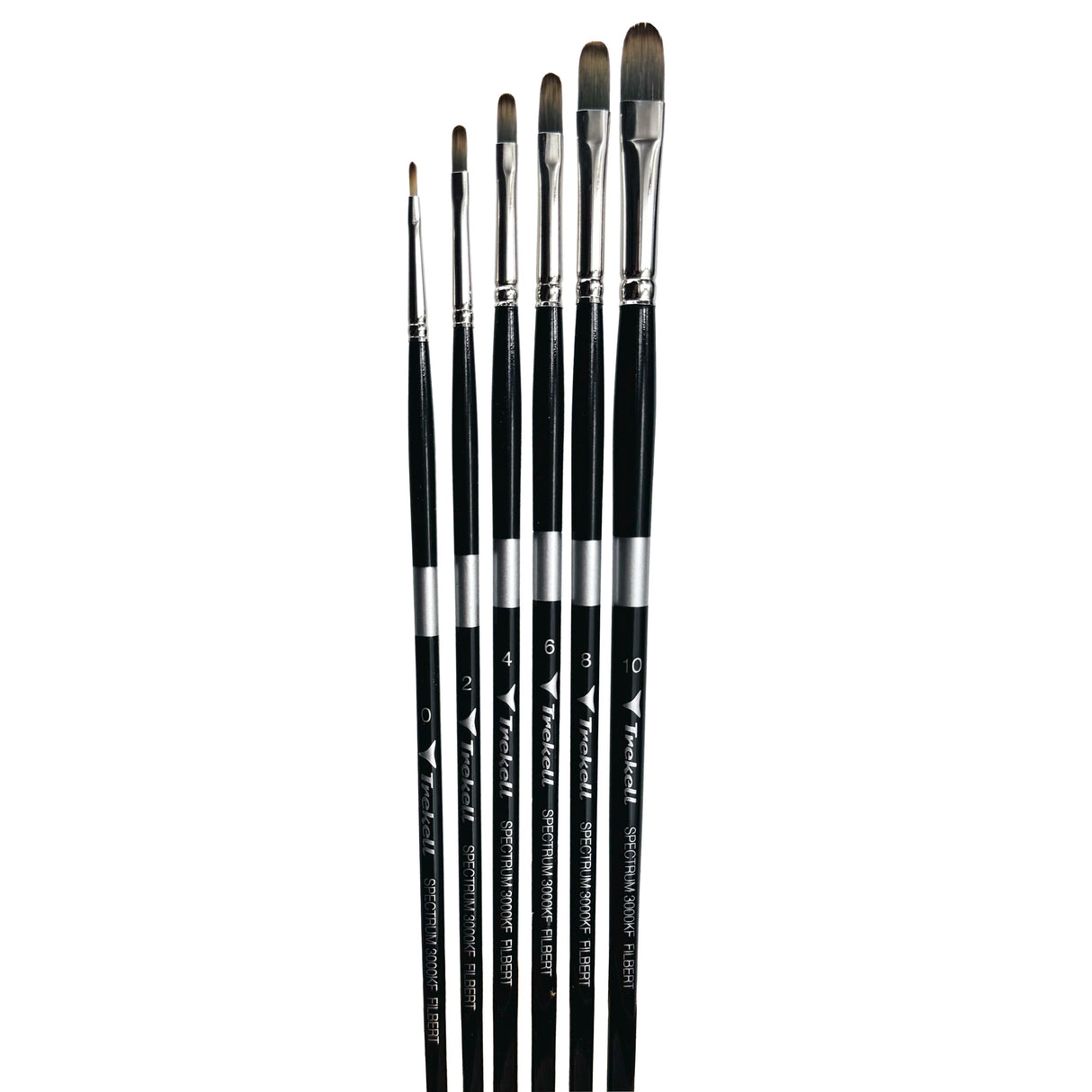 Trekell Spectrum Long Handle Artist Brush - Complete Brush Set - Filbert