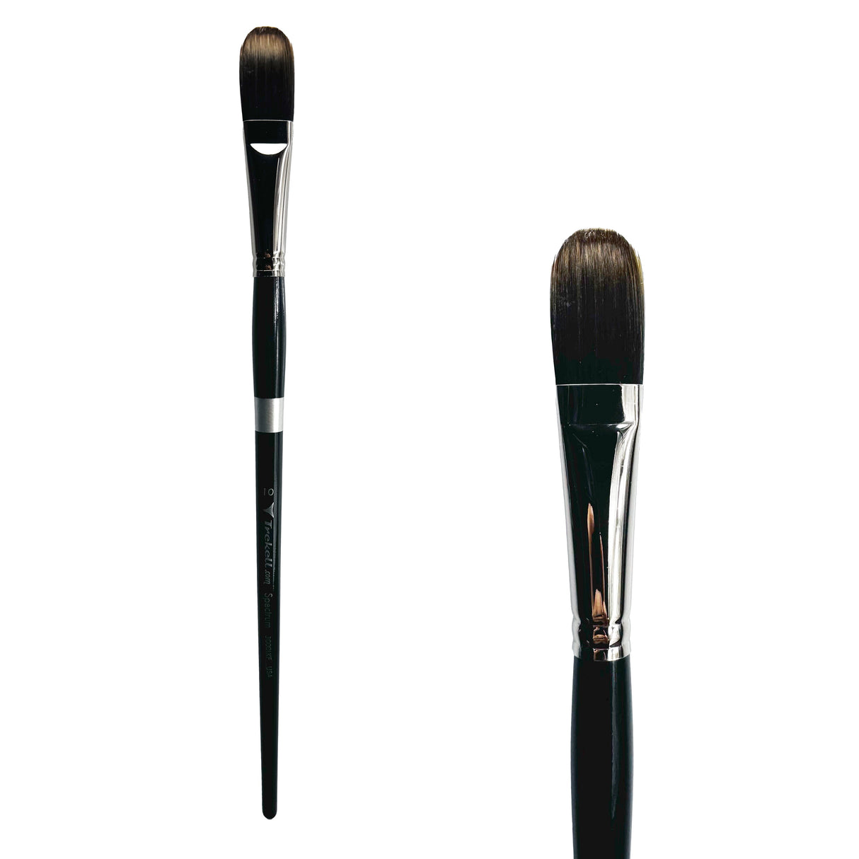 Trekell Spectrum Long Handle Artist Brush - Size #10 Long Filbert