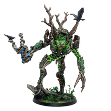 Moss Hermit