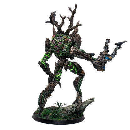 Moss Hermit