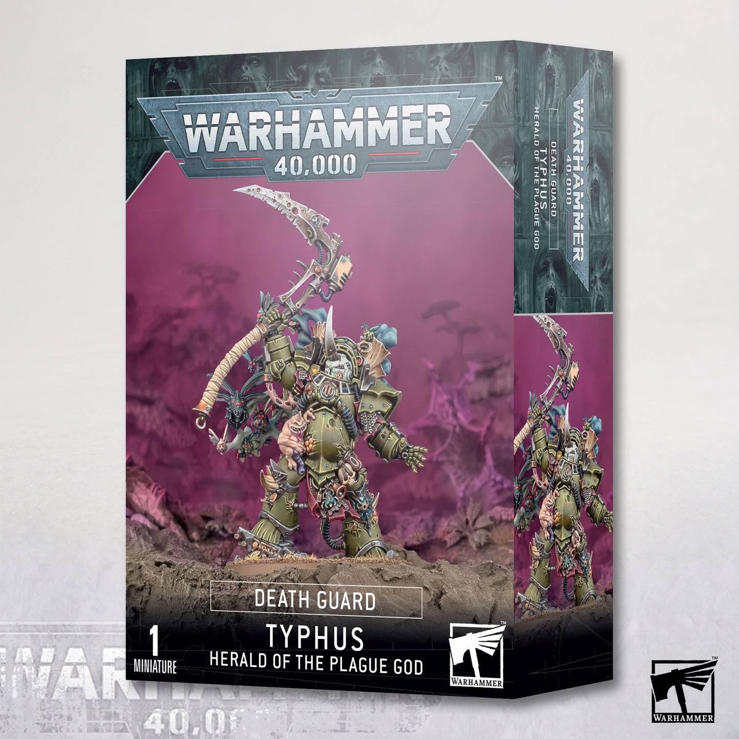 Typhus