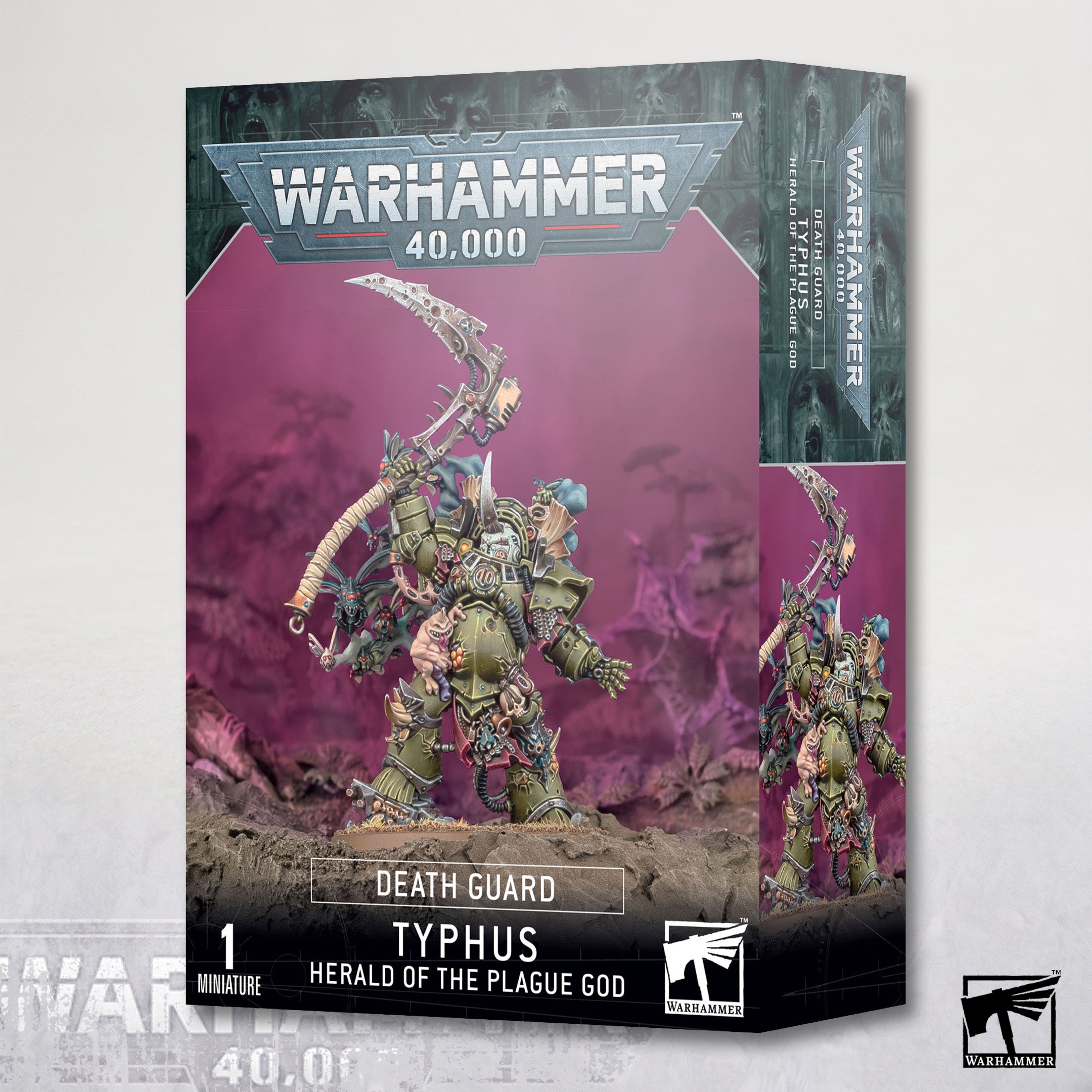 Typhus