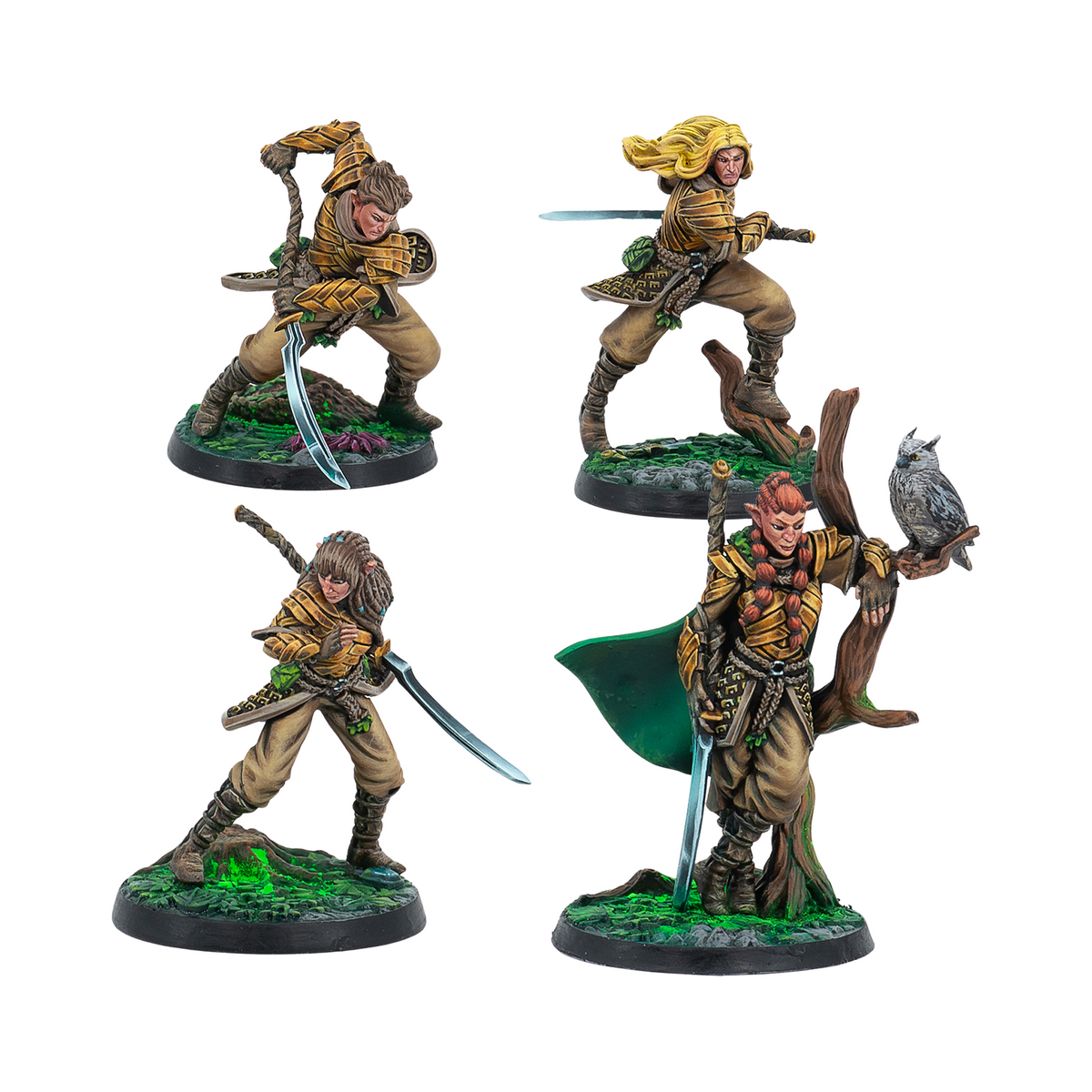 Sÿenann Wardens