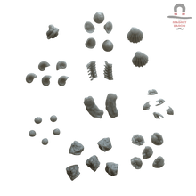 Coral Decorations