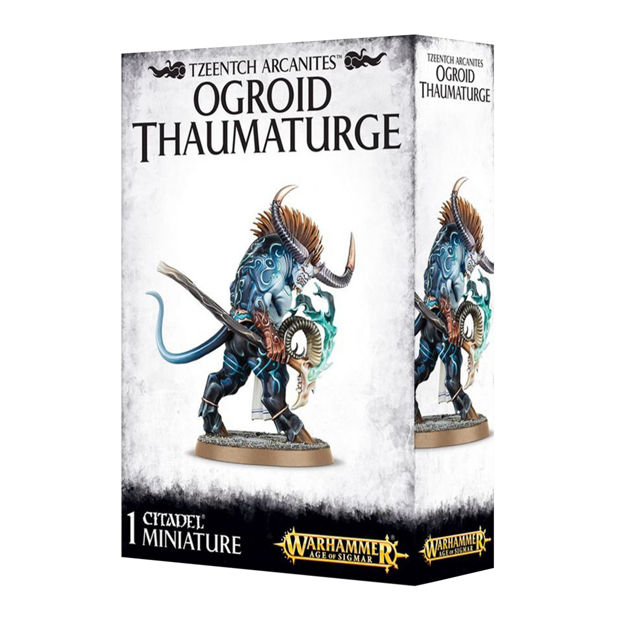 Ogroid Thaumaturge