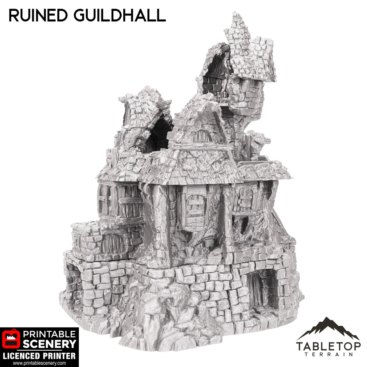 Ruined Guildhall - Hagglethorn Hollow - Fantasy Ruins