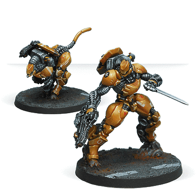 Su-Jian Immediate Action Unit