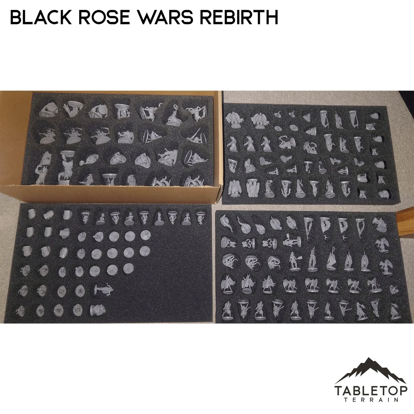 Black Rose Wars and Rebirth Board Game Insert / Organizer