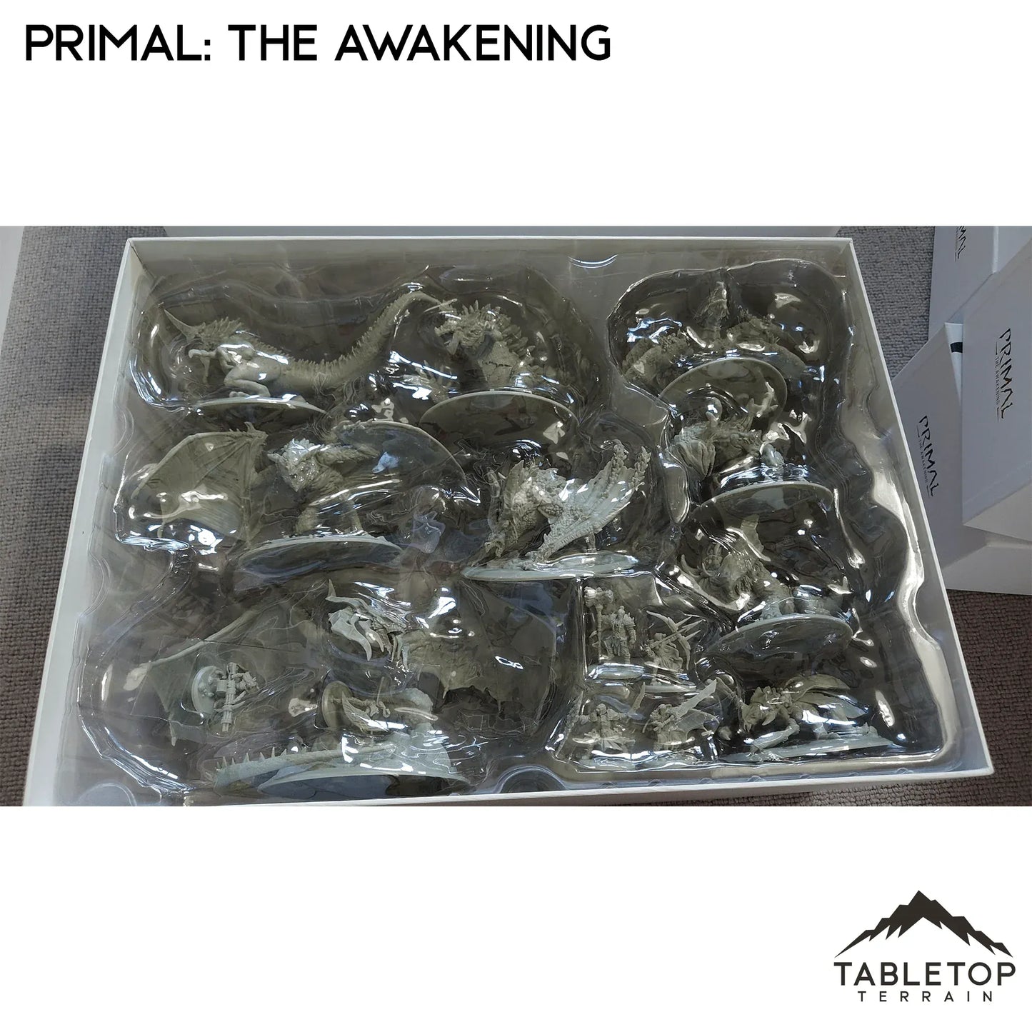 Primal: The Awakening Board Game Insert / Organizer