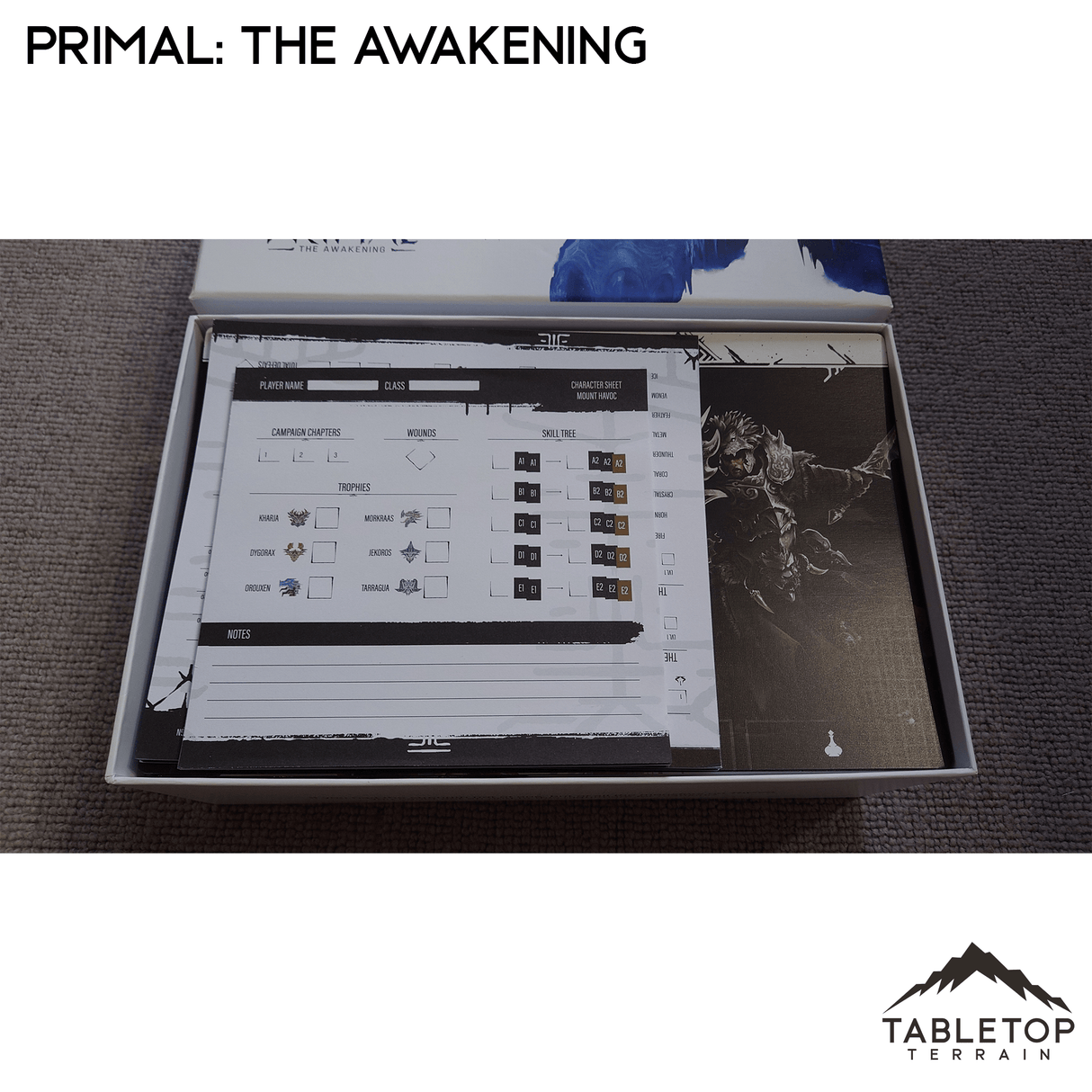 Primal: The Awakening Board Game Insert / Organizer