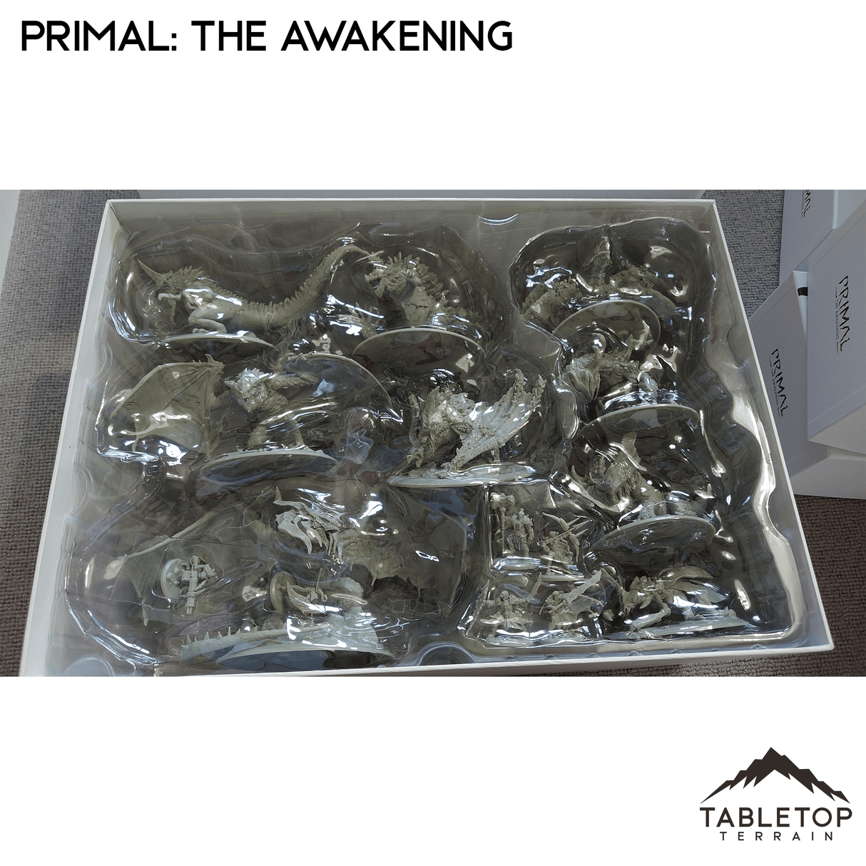 Primal: The Awakening Board Game Insert / Organizer