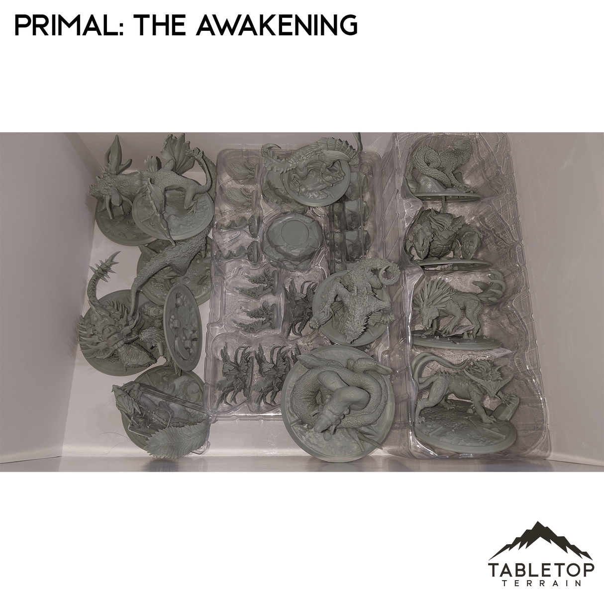 Primal: The Awakening Board Game Insert / Organizer
