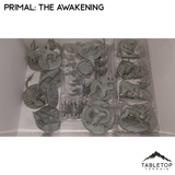 Primal: The Awakening Board Game Insert / Organizer