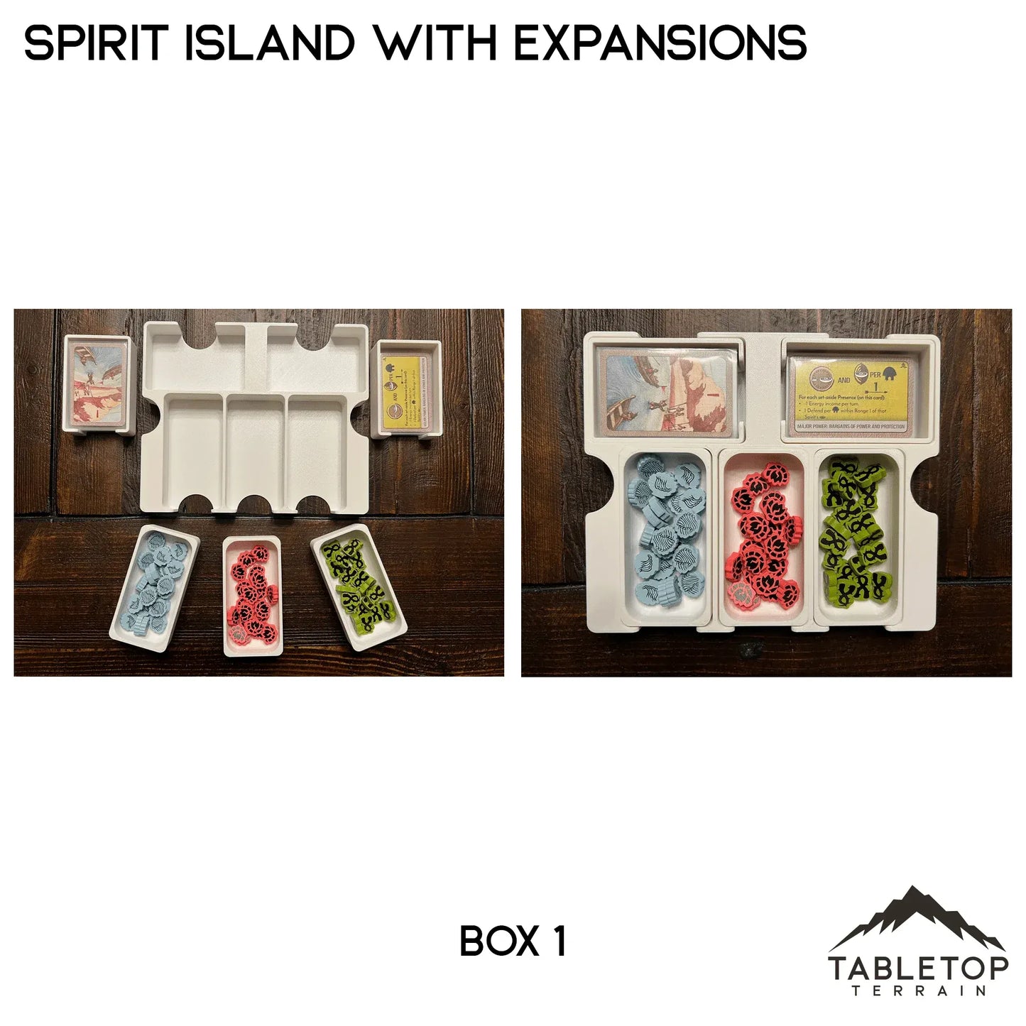 Spirit Island Organizer for Content Through Nature Incarnate Insert / Organizer