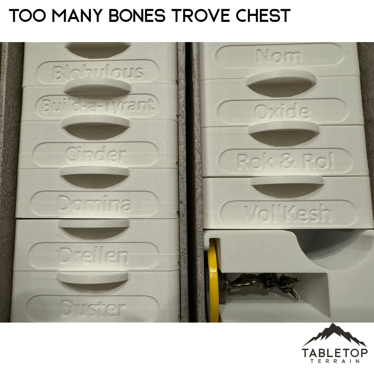 Too Many Bones Trove Chest Board Game Insert / Organizer