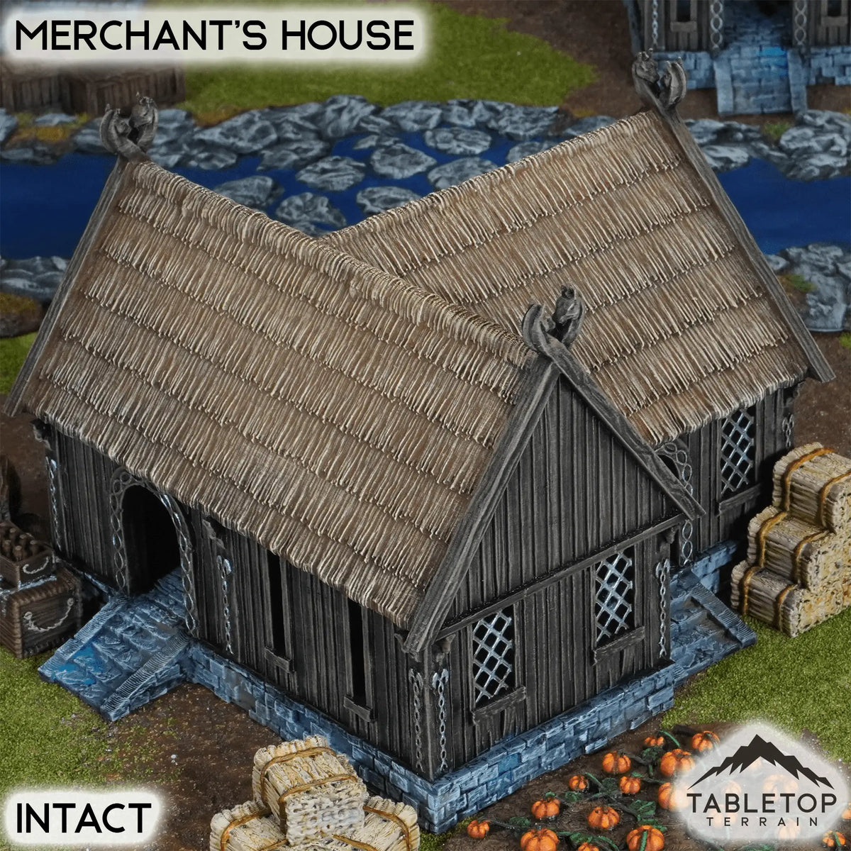 Merchant's House - Kingdom of Saxonia