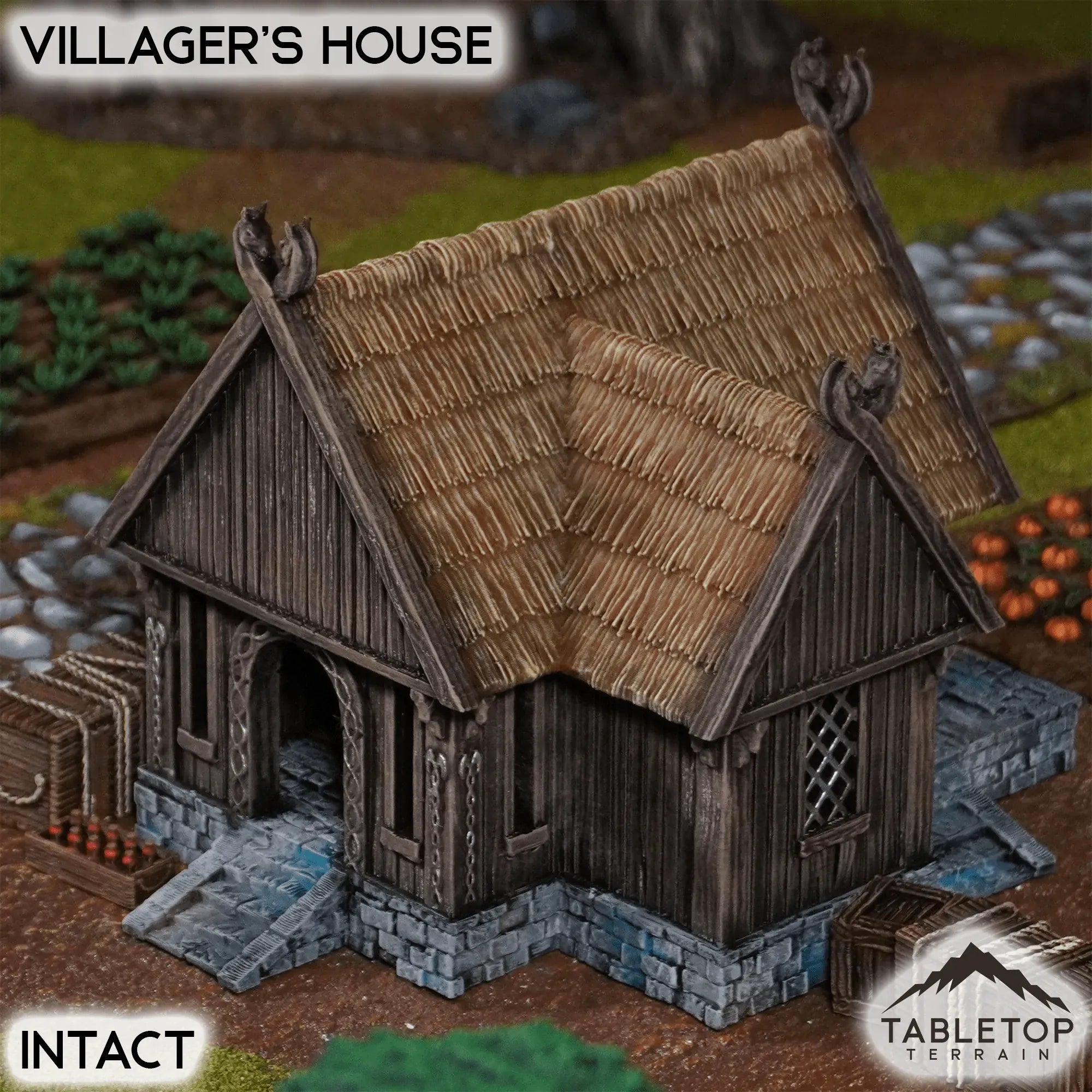 Villager's House - Kingdom of Saxonia