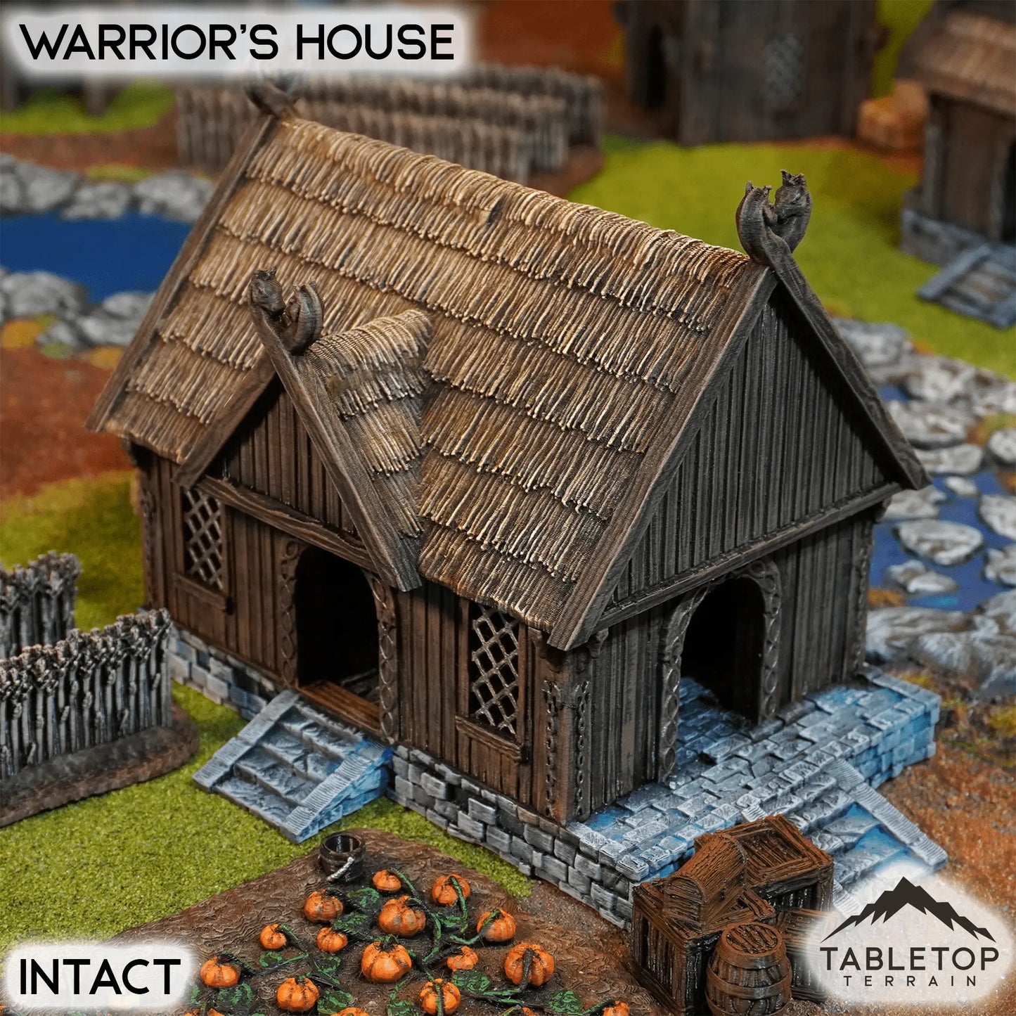 Warrior's Home - Kingdom of Saxonia