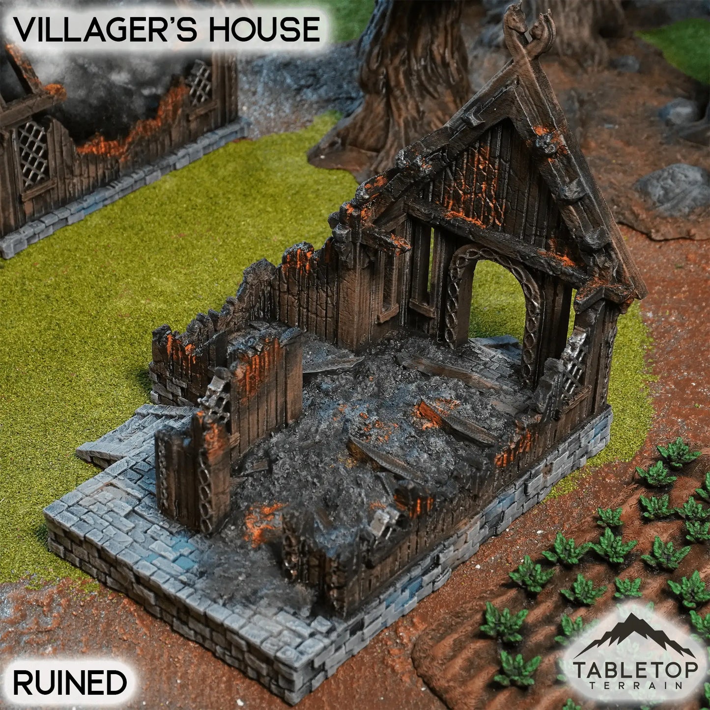 Villager's House - Kingdom of Saxonia